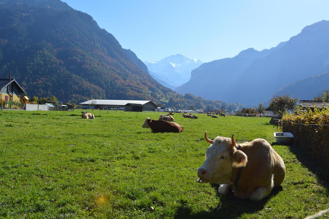 Jungfrau Family Holiday Home Matten bei Interlaken Kültér fotó